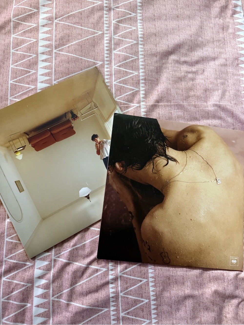 Harry Styles Vinyl Albums (2)